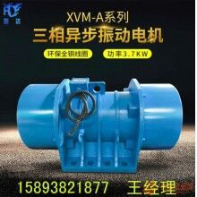 YZO-180-6振動電機(jī)