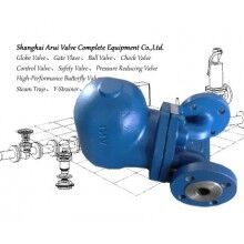 FIG.CTIHC、FIG.CTIV杠桿浮球式疏水閥
