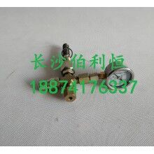 批發(fā)原裝正品攪拌機(jī)配件，三一JX3000潤滑油泵芯
